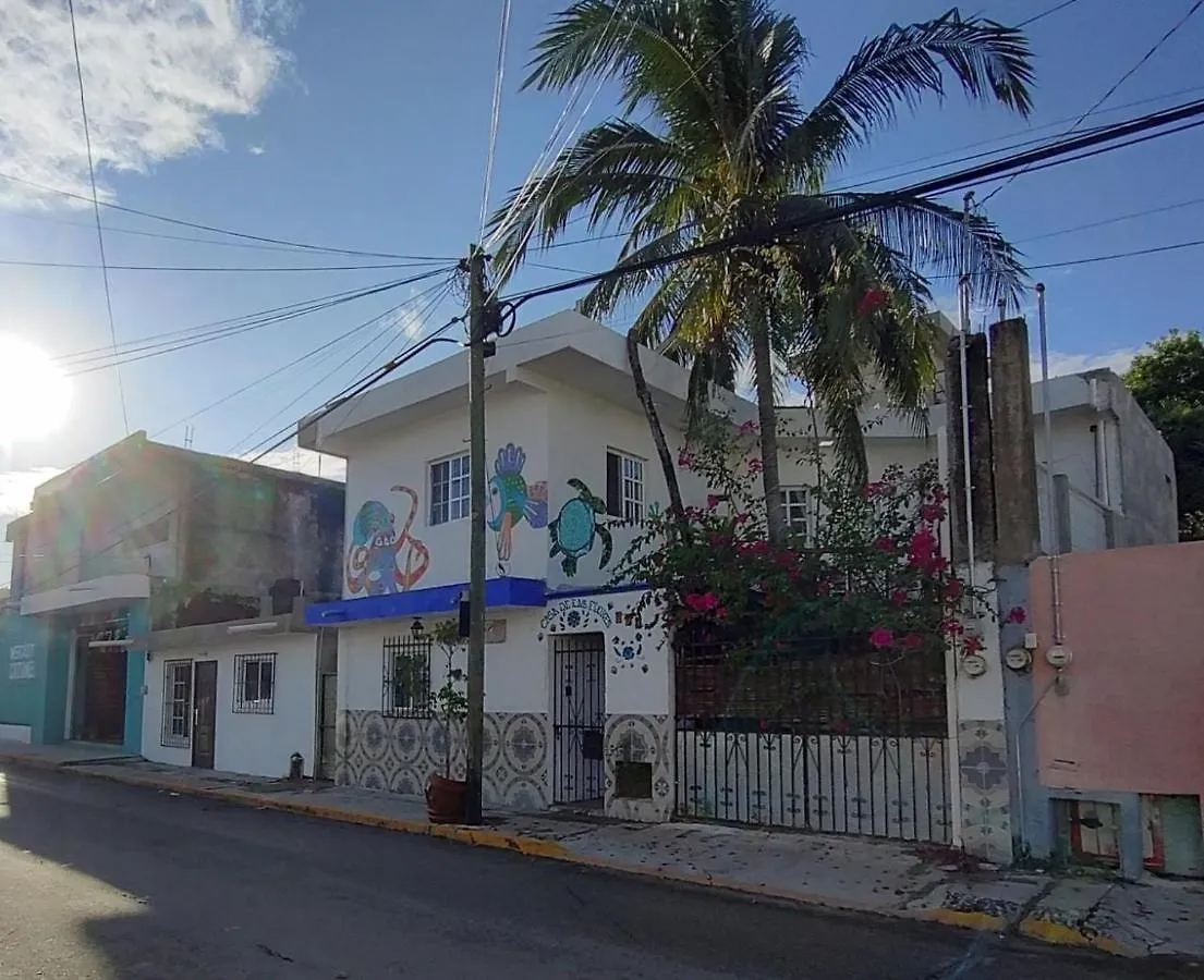Casa De Las Flores Apartment Cozumel
