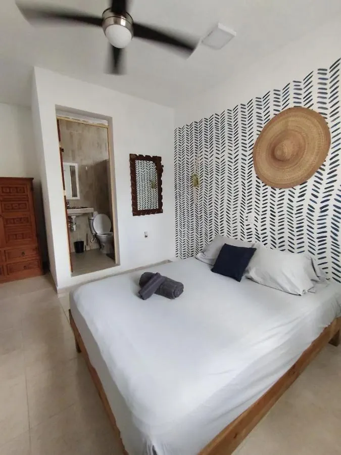 Casa De Las Flores Apartment Cozumel 0*,