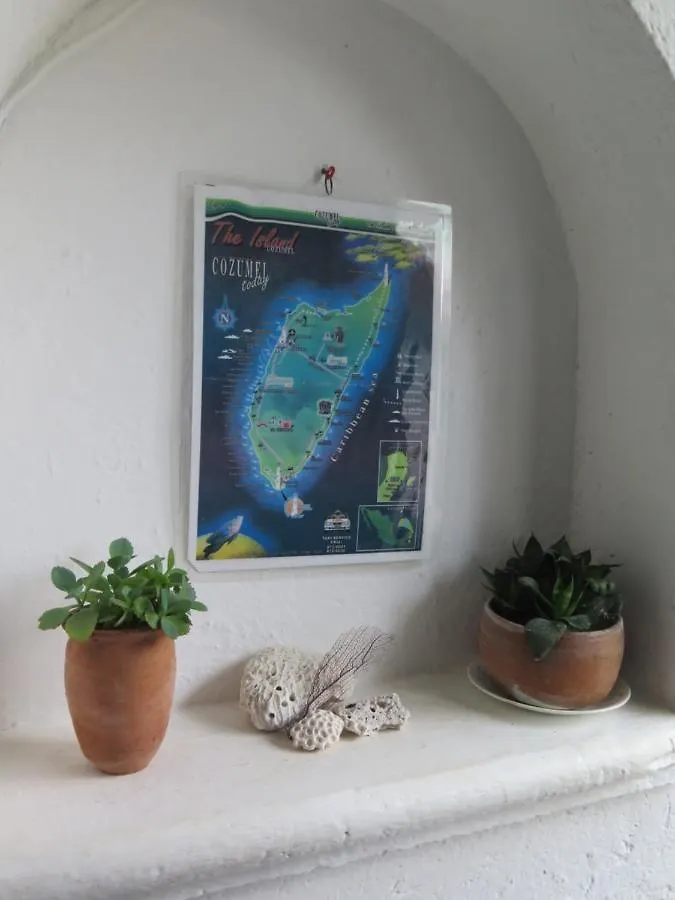 Casa De Las Flores Apartment Cozumel