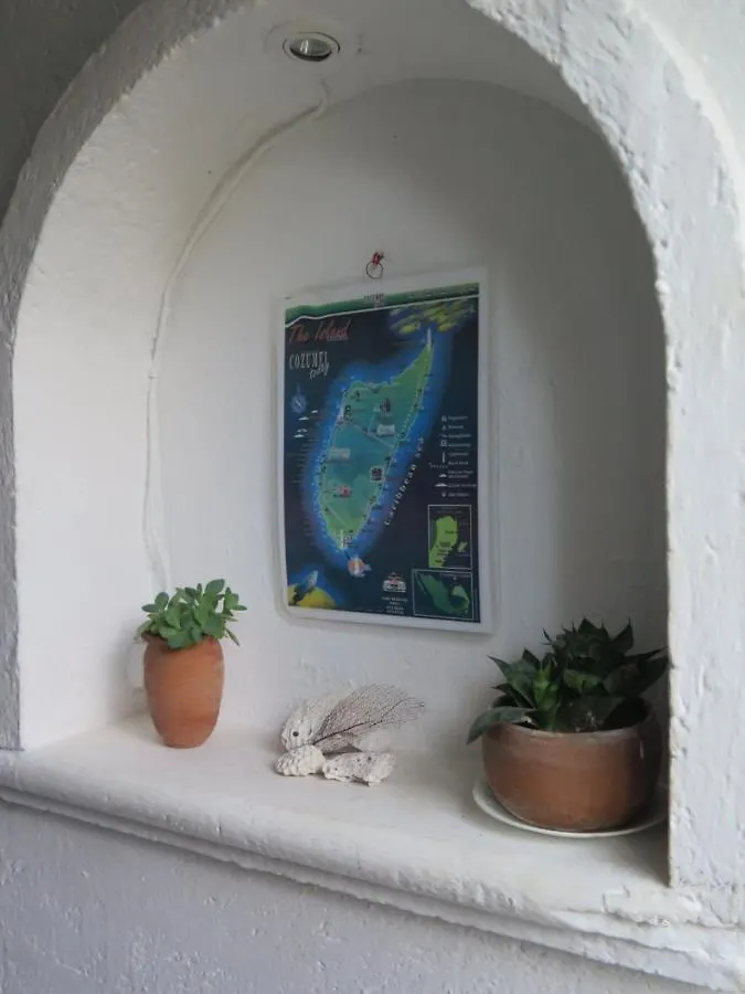 Casa De Las Flores Apartment Cozumel Mexico