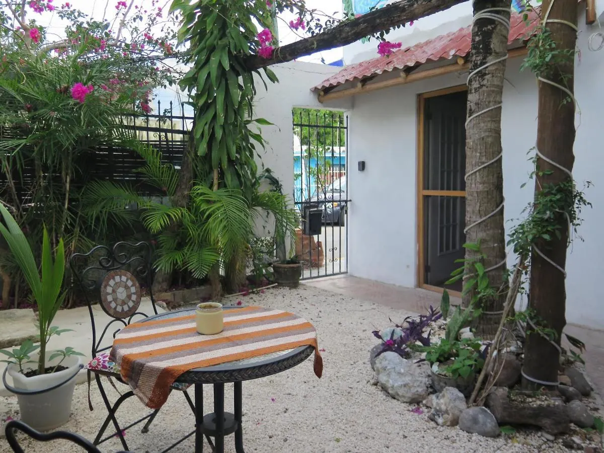 Casa De Las Flores Apartment Cozumel