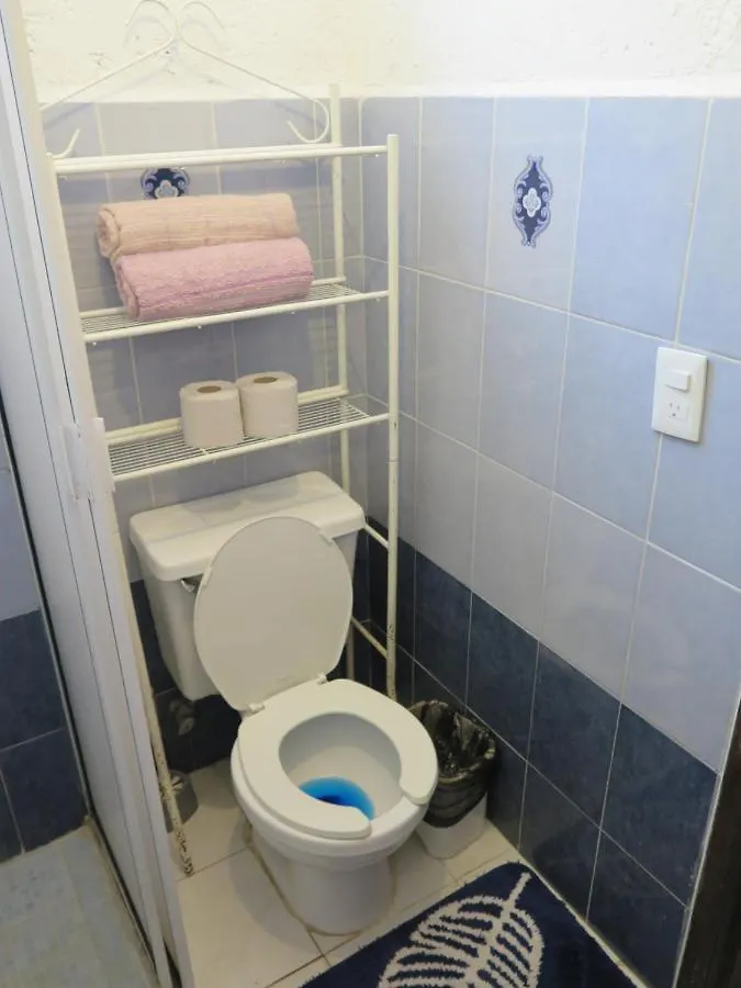 Casa De Las Flores Apartment Cozumel