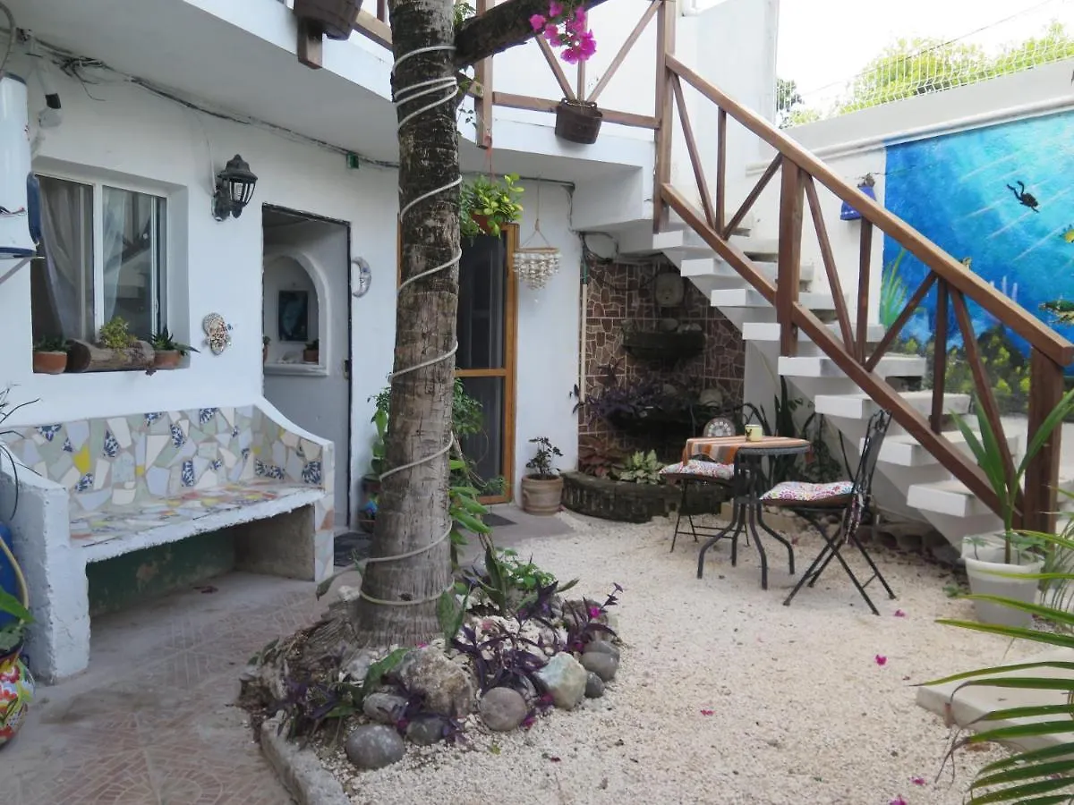 Casa De Las Flores Apartment Cozumel Mexico