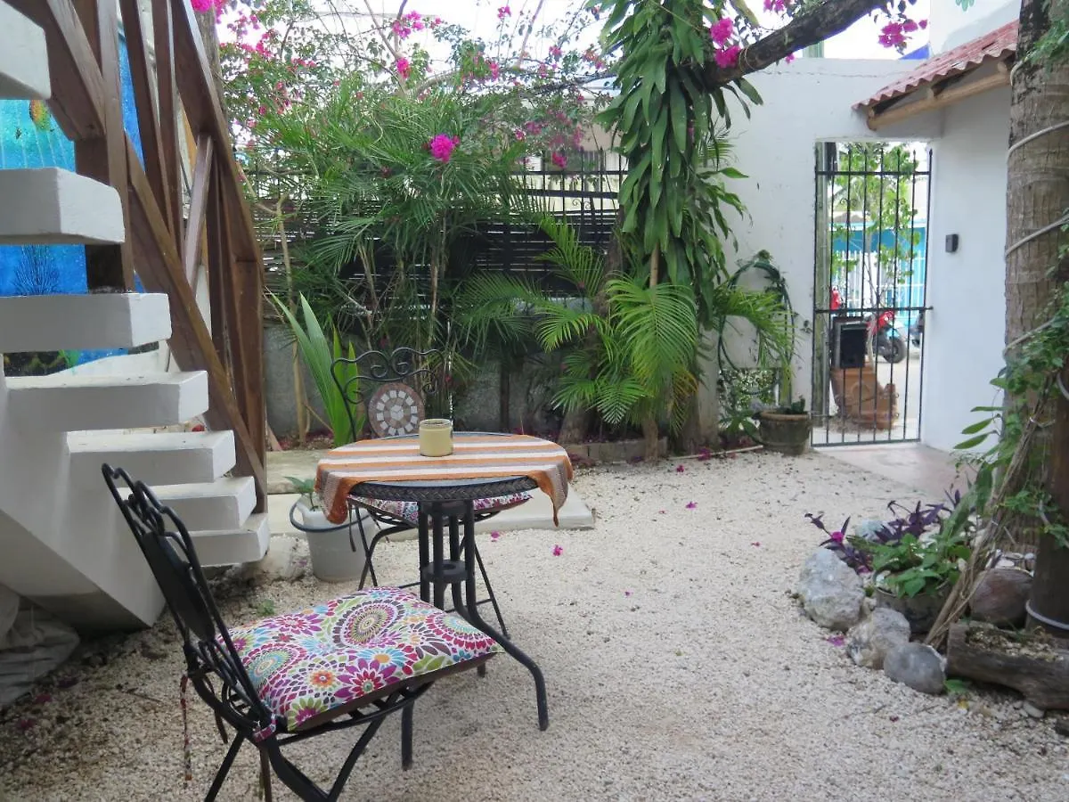Casa De Las Flores Apartment Cozumel