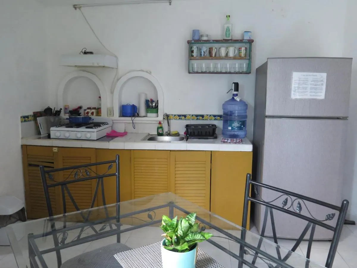 Casa De Las Flores Apartment Cozumel